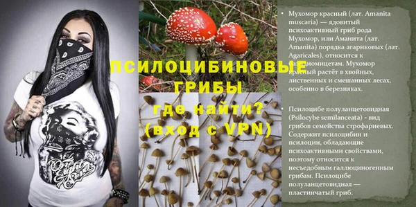 эйфоретик Бородино