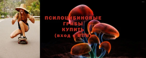 эйфоретик Бородино