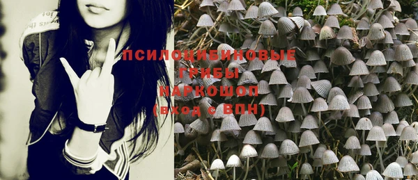 ECSTASY Бронницы
