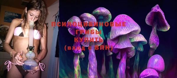 эйфоретик Бородино